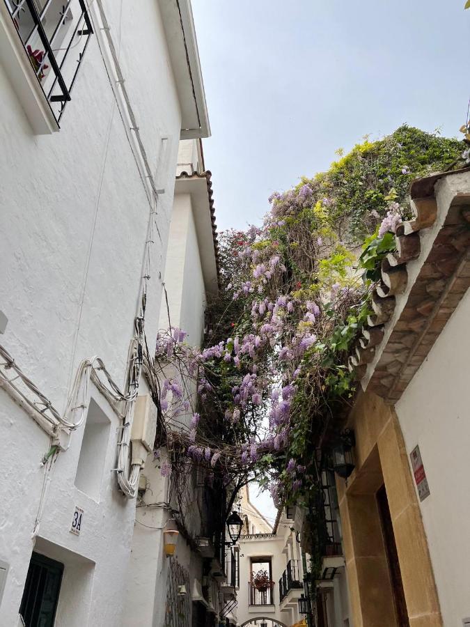 Studio Oasis In 2º Line Beach In The Centre Of Marbella - Eaw Homes 외부 사진