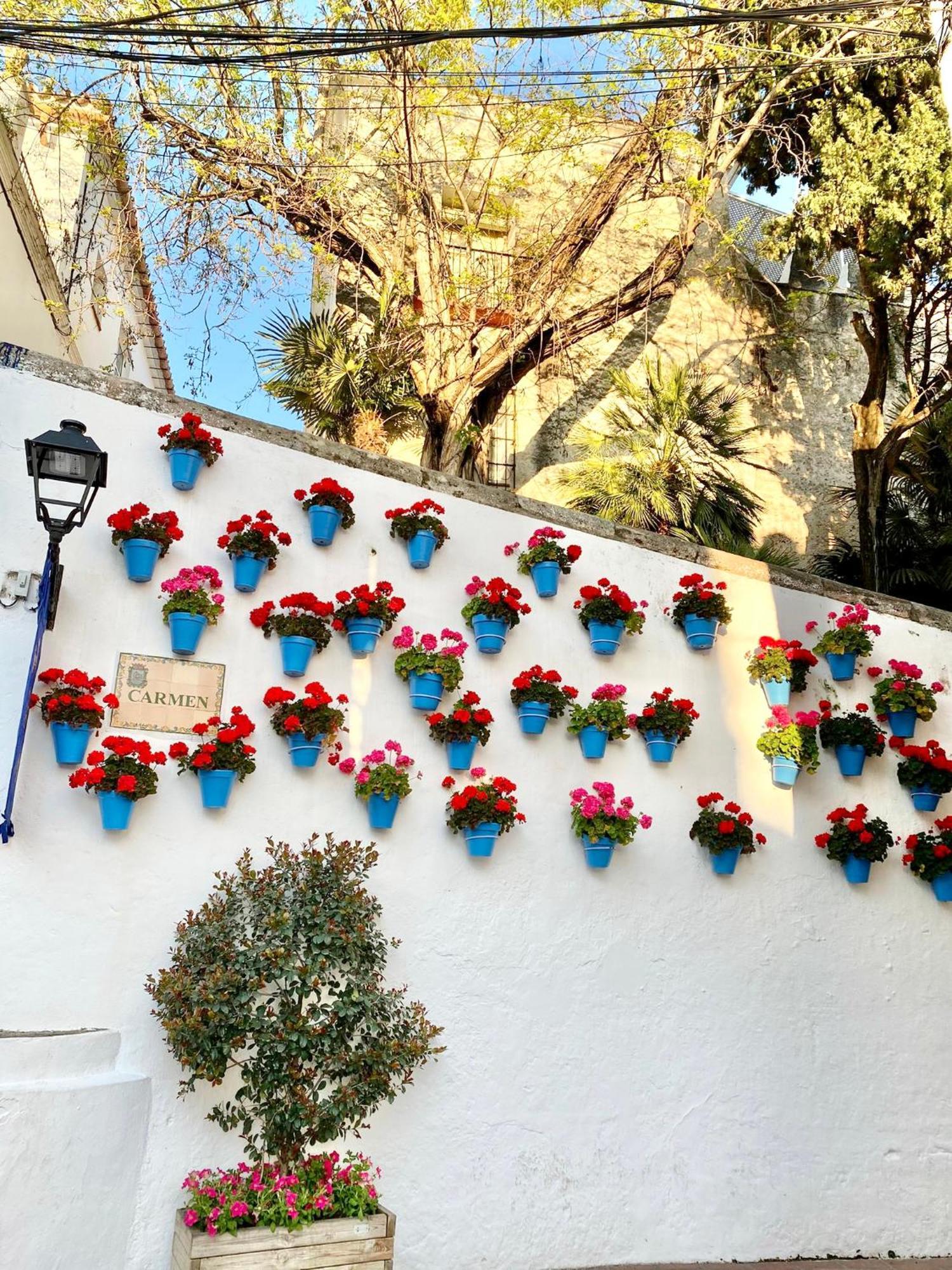 Studio Oasis In 2º Line Beach In The Centre Of Marbella - Eaw Homes 외부 사진